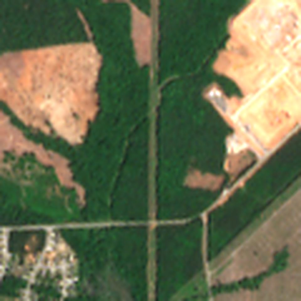 Satellite view in May 2026: woods