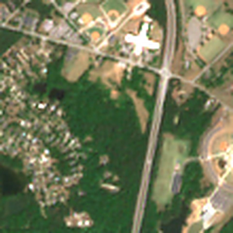 Satellite view in May 2026: woods beside a highway