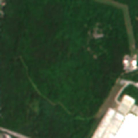 Satellite view in May 2026: woods and grass