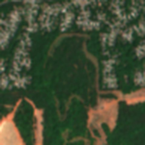 Satellite view in May 2026: woods and grass